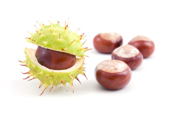 Chestnuts isolated on a white background