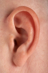 closeup of human ear with shaved skin