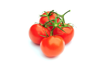 tomatoes