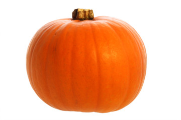 single pumpkin for halloween, isolated on white