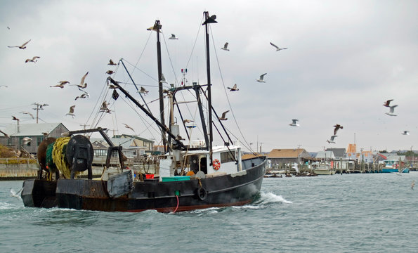 Commercial fishing boat returning to harbor