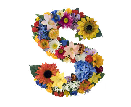 Flower Alphabet - S Stock Photo | Adobe Stock