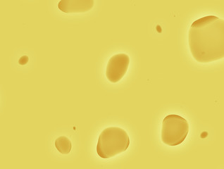 Swiss Cheese With Holes Food Abstract Background