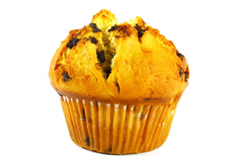 Cupcake Baked and Isolated on a White Background