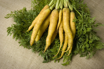 Organic yellow carrots