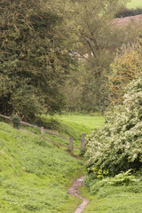 footpath leading to fence in green valley