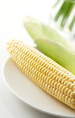 corn on a plate, shallow depth of field