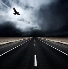 Foto op Plexiglas Onweer Een vogel vliegt weg van een opkomende storm