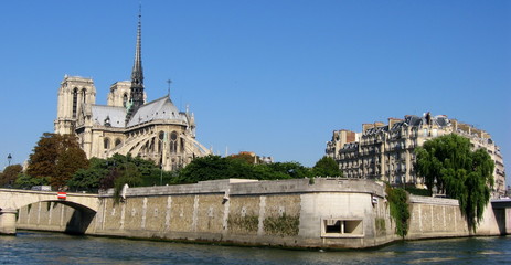 Fototapeta na wymiar Końcówka Ile de la Cité