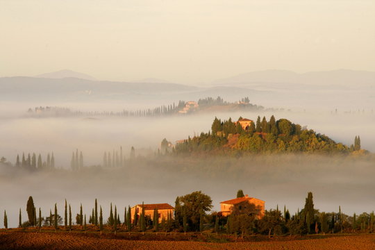 Morgennebel in der Toskana, Crete, Val d Orcia, Italien
