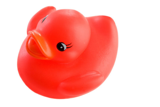 Red plastic duck a over white background