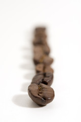 colonna di chicchi di caffé