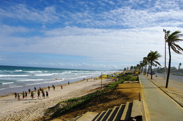 Fototapeta premium Route et cocotiers au bord de la plage.