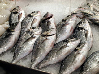 Fisch auf dem Markt