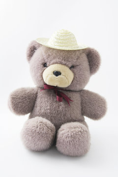Teddy Bear with Hat on Seamless Background