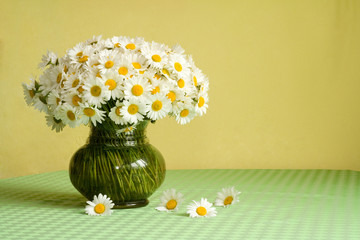 Rich daisy bouquet in a vase on the table