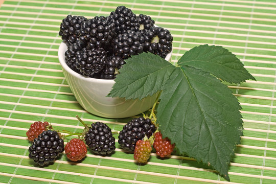 Fresh blackberries in a white bowl on the table