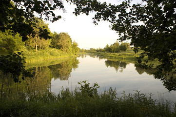 Peaceful scene of a body of water surrounded by trees