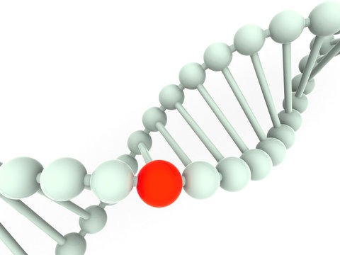 gene in DNA. 3d