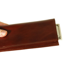 a womanish hand holds a pocket-book or purse