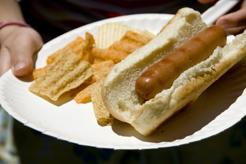 Photo of a single hot dog in bun and potato chips on