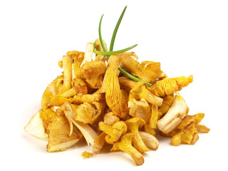 Frische Pfifferlinge