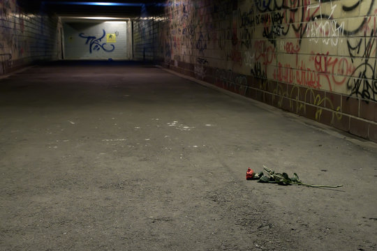 Abandoned Rose In Subway (underpass).