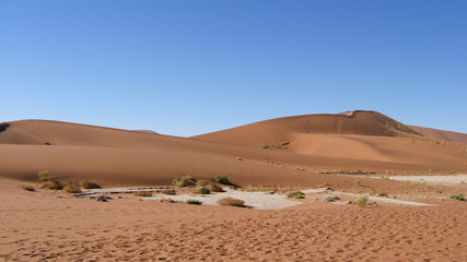 Fototapeta na wymiar Dunes du Namib, Namibie