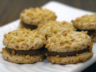 chocolate biscuit #2