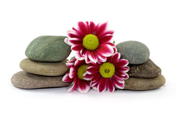 Obraz na płótnie Canvas zen spa stones with flowers