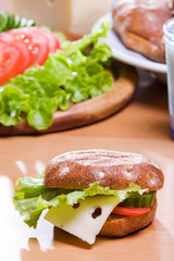Fresh Vegetables and chees on bread