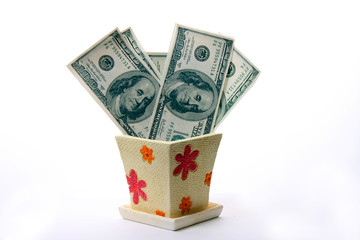 dollars growing  in the flowerpot
