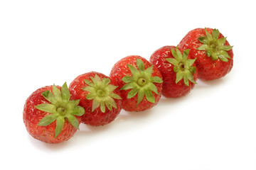 Erdbeeren in einer Reihe