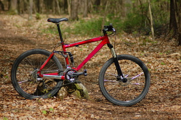 Fototapeta na wymiar Klasyczny rower górski, który jest często stosowany w sporcie.