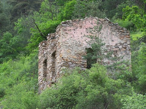 ruine