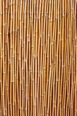 Natural detailed bamboo texture