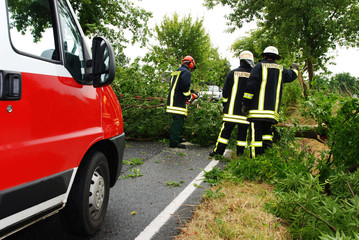 Feuerwehr beseitigt Unwetterschaden - 9405391