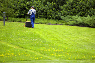 Gardener mowing. A lot of copyspace at the bottom.