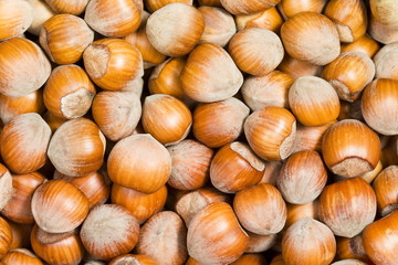 Hazelnut background - top view of fresh hazelnuts