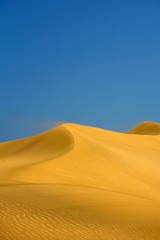 Fototapeta na wymiar Sand Dune with Wind Textures in the Desert in Morocco