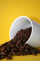 Kaffeebohne