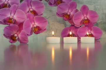 Kerzen mit Orchideen