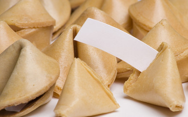 Fortune cookies with blank fortune