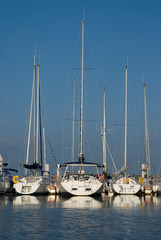 Sailing ships on a summer day
