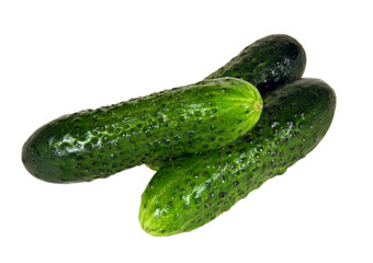 Cucumber