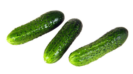 Cucumber