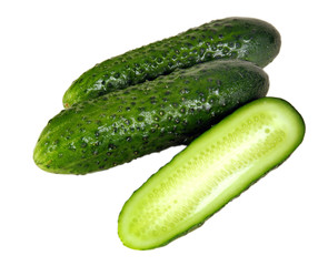 Cucumber