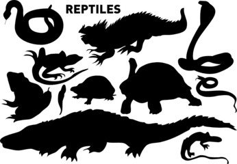 reptiles and amphibians