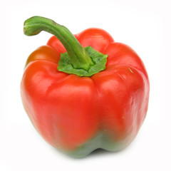 Paprika red and green bell pepper perfect