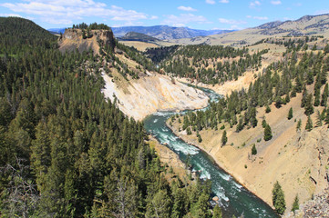 Fototapeta premium The Yellowstone River in Yellowstone National Park in Wyoming